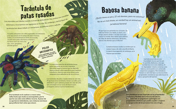 No aplastes a los bichos!