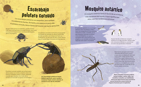 No aplastes a los bichos!