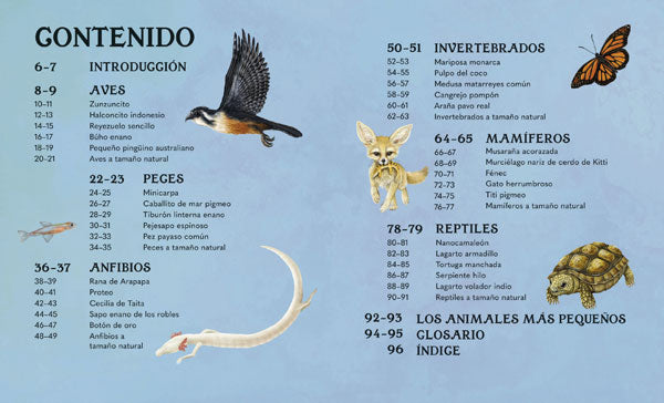 Un mundo en miniatura
