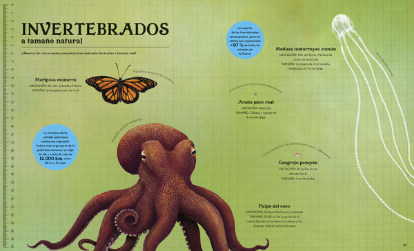 Un mundo en miniatura