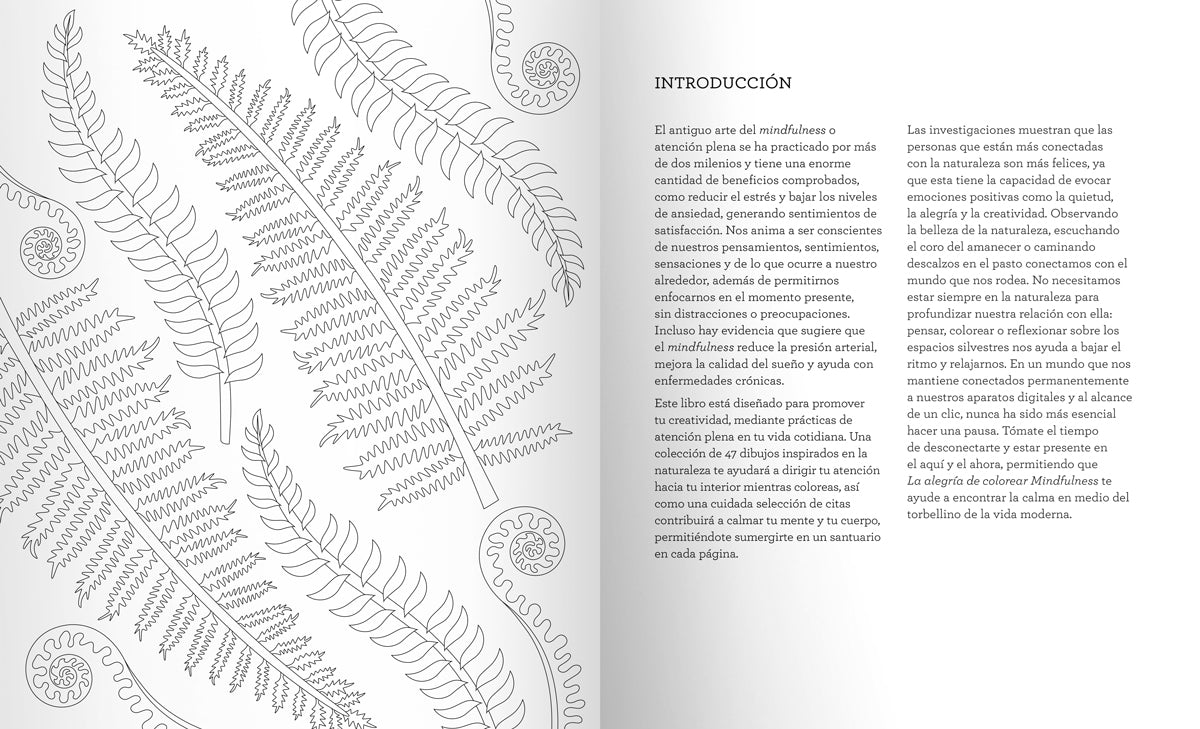 La alegría de colorear Mindfulness