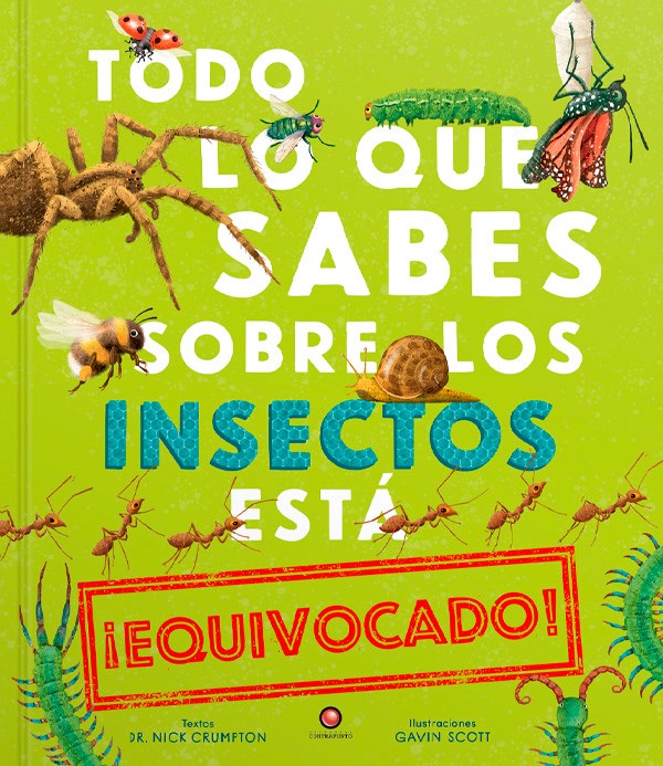 Todo lo que sabes sobre los insectos está equivocado