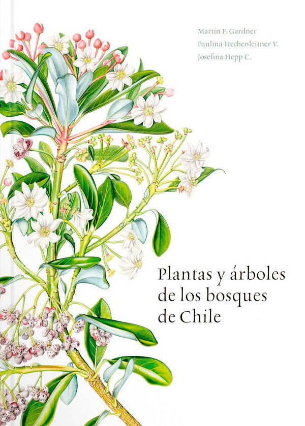 Plantas y árboles de los bosques de Chile