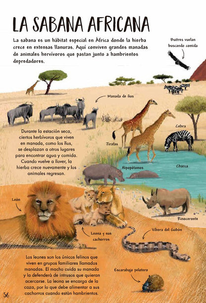 Mi primer libro de la naturaleza