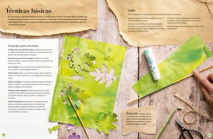 Flores de papel