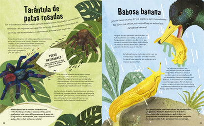 No aplastes a los bichos!