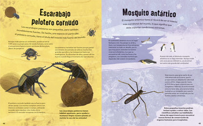 No aplastes a los bichos!