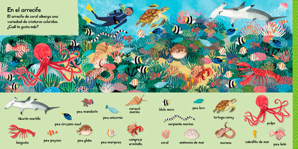 101 criaturas marinas para descubrir