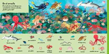 101 criaturas marinas para descubrir