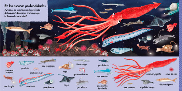 101 criaturas marinas para descubrir