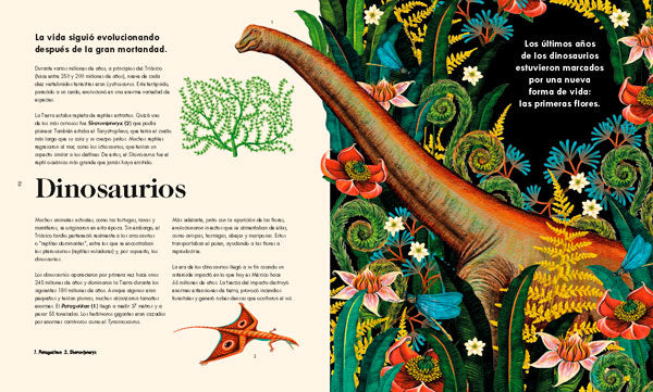Las maravillas de la vida en la tierra