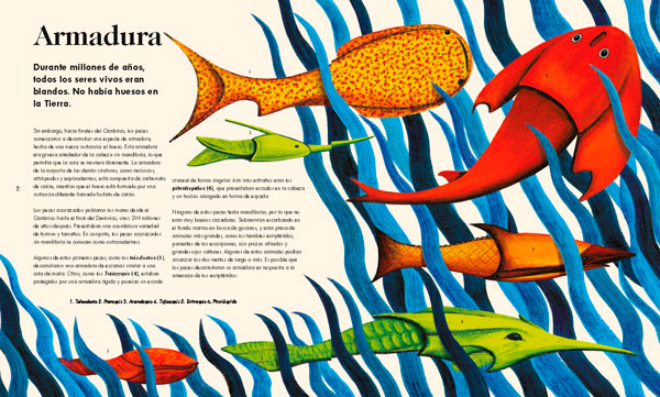 Las maravillas de la vida en la tierra