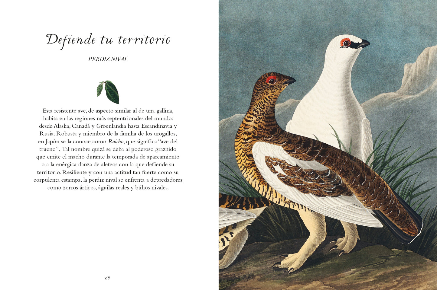 La sabiduría de las aves