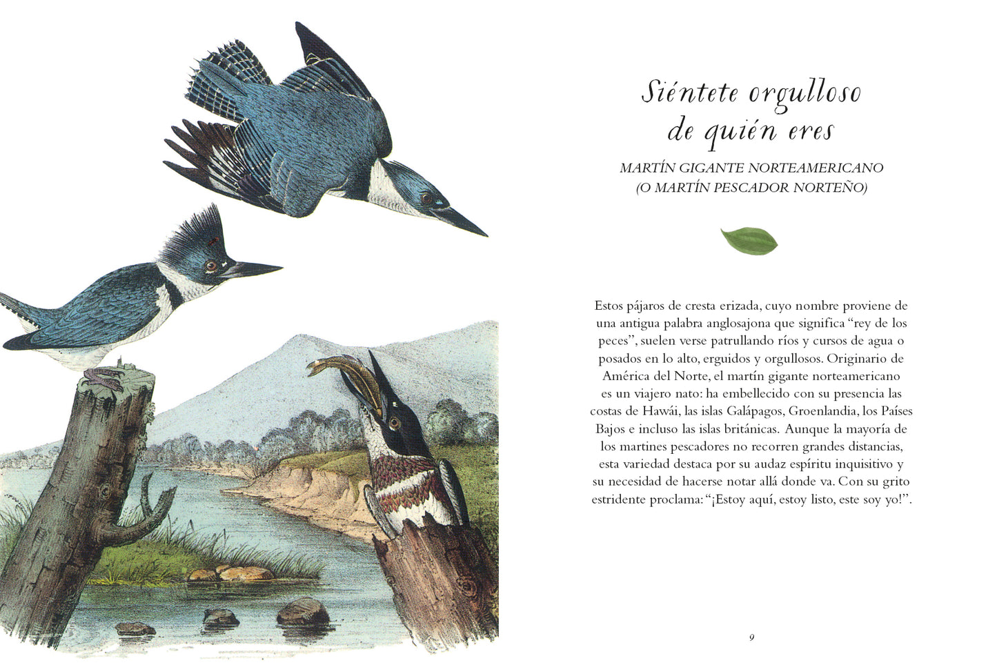 La sabiduría de las aves