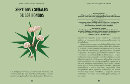Hongos. Una guía para curiosos