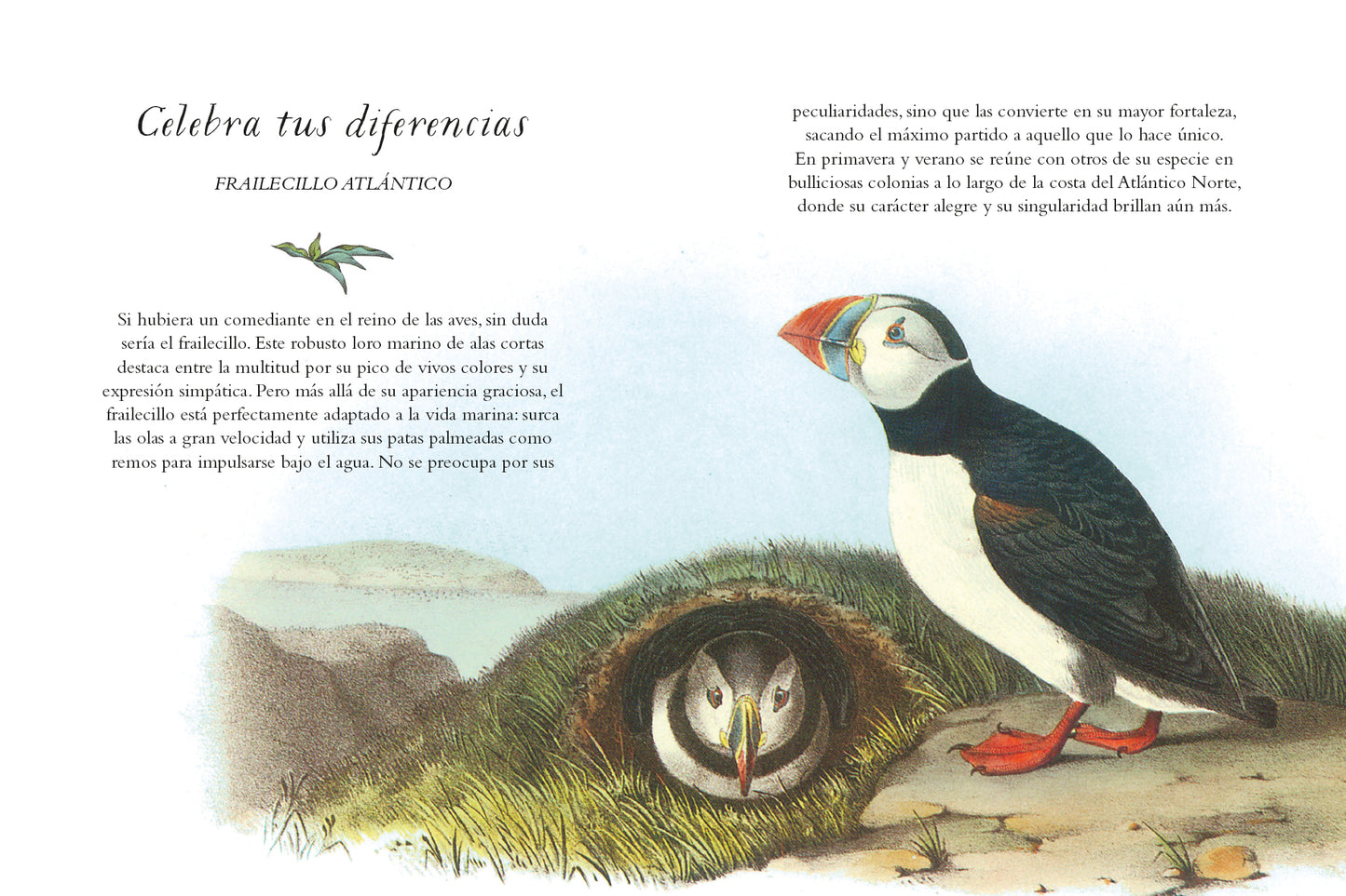 La sabiduría de las aves