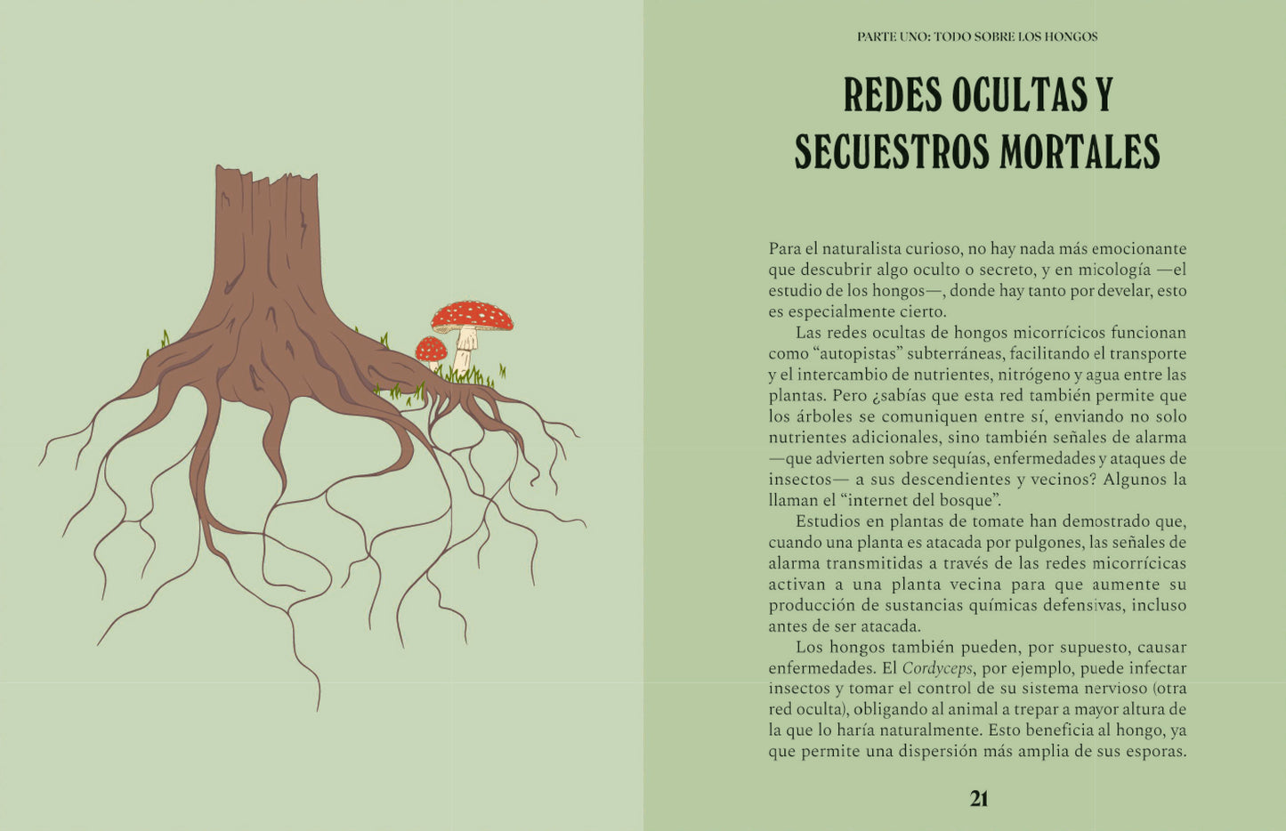 Hongos. Una guía para curiosos