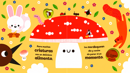 Amigos hongos