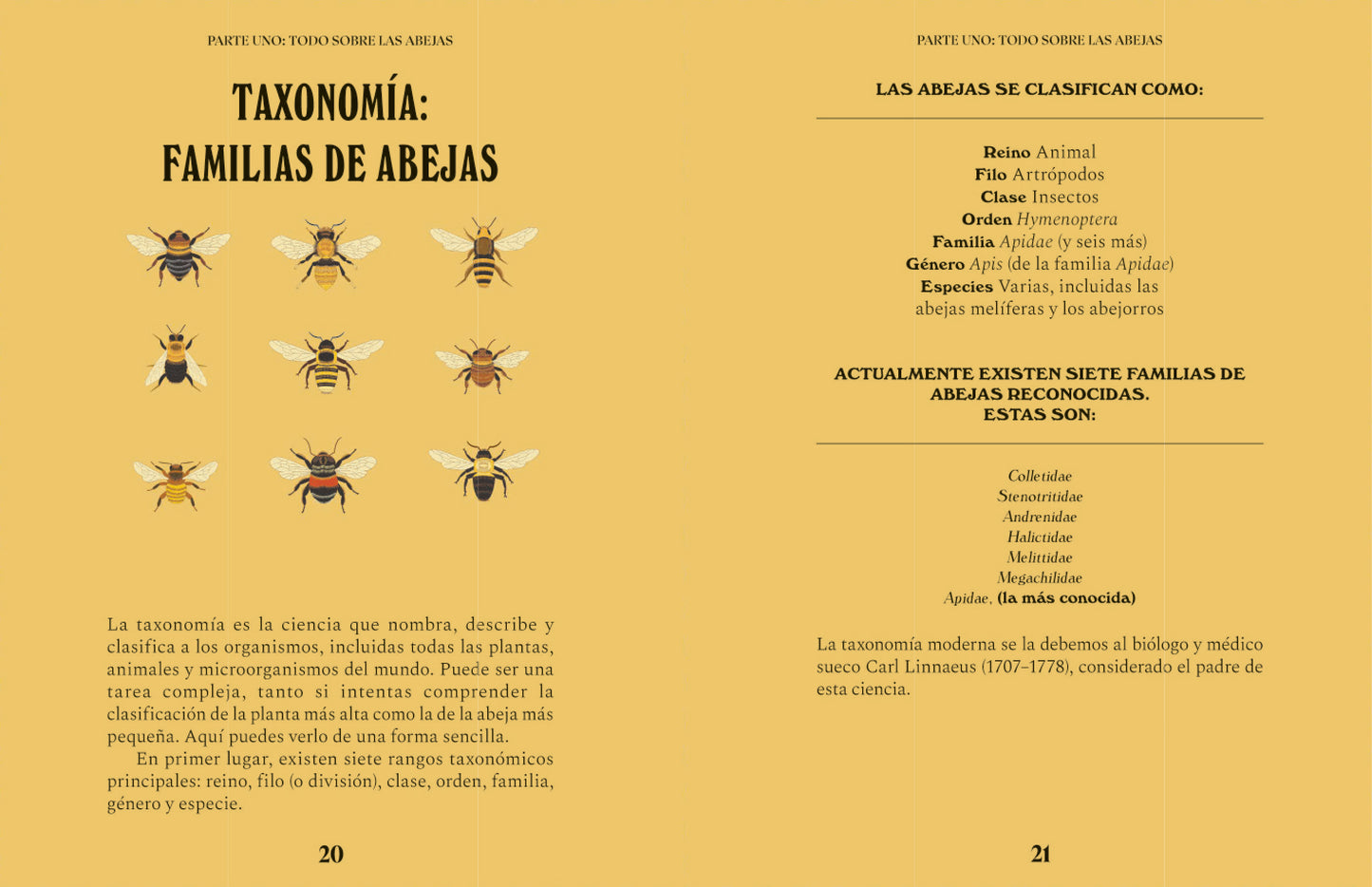 Abejas. Una guía para curiosos