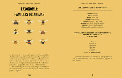 Abejas. Una guía para curiosos